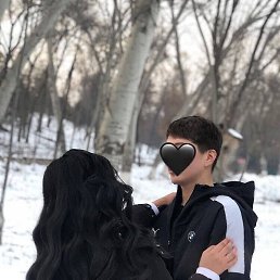 ������, ��������, 37 ���