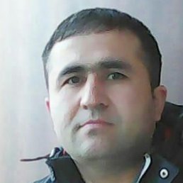 �����, �������, 37 ���