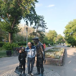 �����, ������, 46 ���