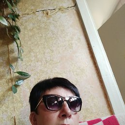 ���� ��������, ���������, 52 ���� - ��������� 16 ������� 2023