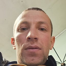 ����, �����-���������, 39 ���