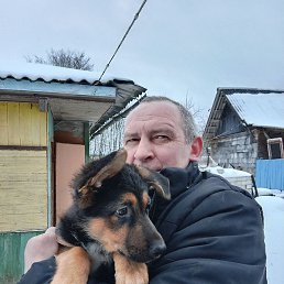 ������, ������, 50 ���