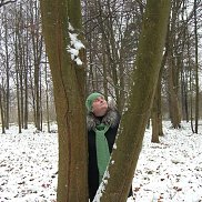 , 53 , 