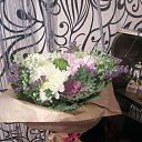    (, , 56  -  13  2023