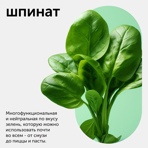 Гид по салатным листьям. Рассказываем в карточках про виды салатной зелени: какие они на вкус и для ... - 4