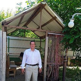 ������, ���������, 44 ����