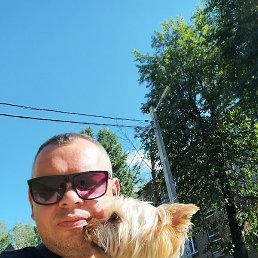 ����, ������, 44 ����