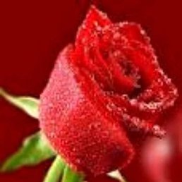 Emi, �������, 45 ���