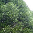 ���� ���, ���������, 55 ��� - ��������� 10 ���� 2023 � ������ ���� ����������