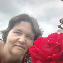 ���� ������, ���������, 43 ���� - ��������� 5 ������� 2023 � ������ ���� ����������