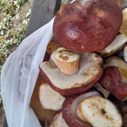 ���� �����, �����������, 68 ��� - ��������� 21 ������� 2023