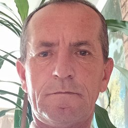 ����, �����������, 36 ���