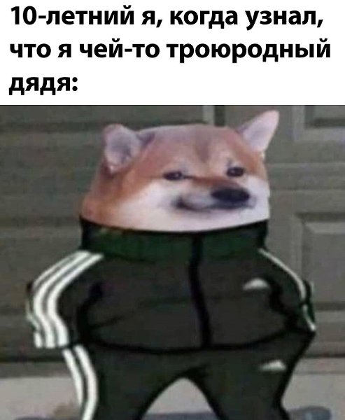 ☆ ☆ - 30  2023  09:28