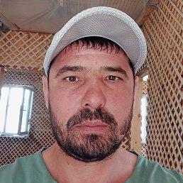 ����, �����������, 46 ���