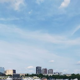 ����, ������, 43 ����