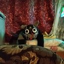 ���� ����, �����������, 38 ��� - ��������� 15 ������� 2023 � ������ ���� ����������