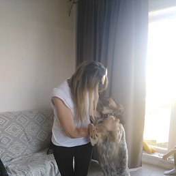 �������, �����������, 58 ���