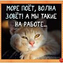 ���� ������, ������, 60 ��� - ��������� 4 ���� 2023