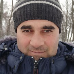 ����, ���������, 44 ����