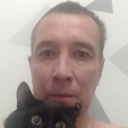 ��������, �����, 50 ���