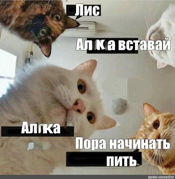  - 12  2023  19:16