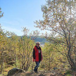 ������, ��������, 55 ���