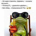 ���� ����, ���������, 62 ���� - ��������� 28 ���� 2023 � ������ ���� ����������