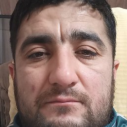 �����, �����-���������, 36 ���