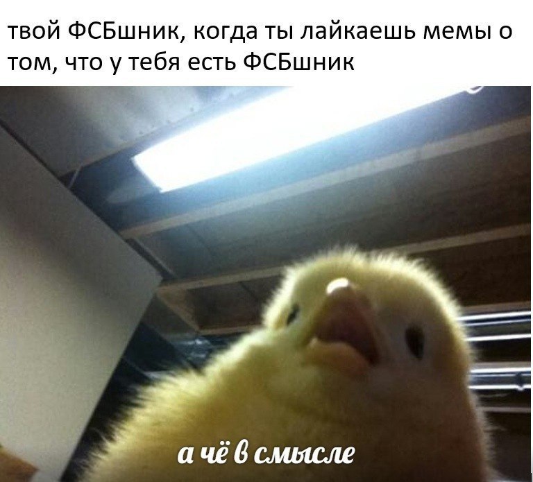    - 26  2023  13:49