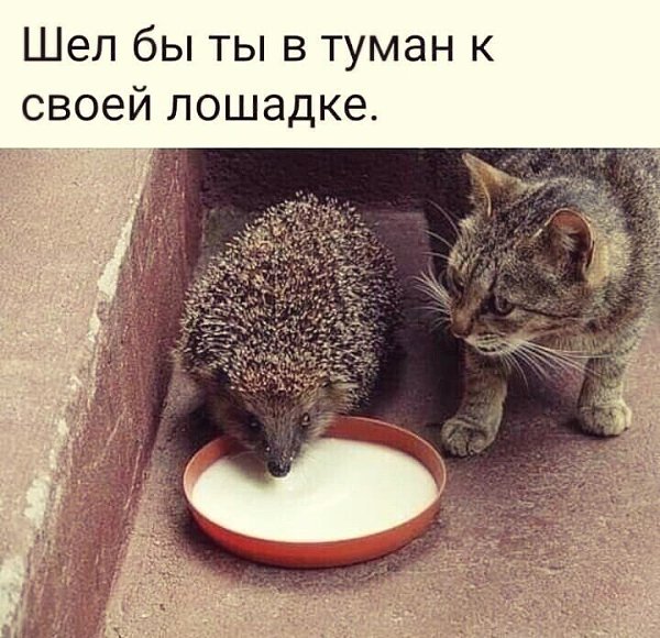 - 15  2023  21:22