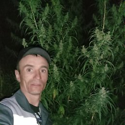 ���� ����, ������, 39 ��� - ��������� 7 ��� 2023