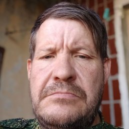 ����, �����������, 46 ���