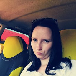 �����, 33 ����, ���������