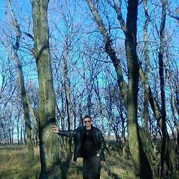 ������, ���������, 103 ����