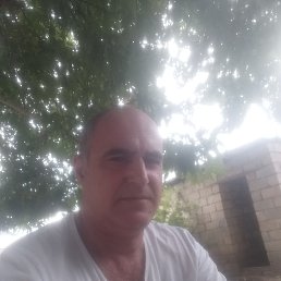 ���� �����, �����������, 52 ���� - ��������� 1 ���� 2023