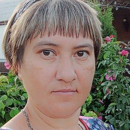 ����, ���������, 38 ���