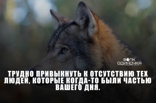  - 31  2023  23:09