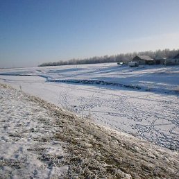 �������, �����, 51 ���