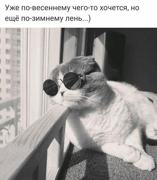  - 20  2023  23:21