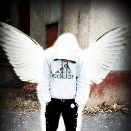 ����, ����, 41 ���