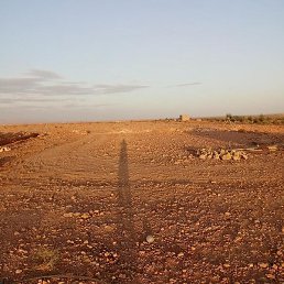 Hassan, �����, 33 ����