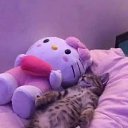 ���� �����, �����������, 26 ��� - ��������� 6 �������� 2023 � ������ ���� ����������