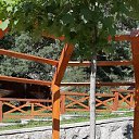 ���� �������, �������, 43 ���� - ��������� 12 ��� 2023