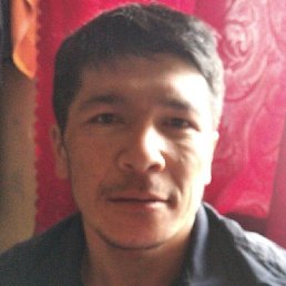 ����, ������, 41 ���