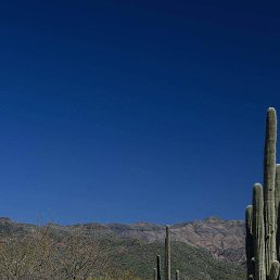 ���� ����, ������, 25 ��� - ��������� 3 �������� 2023