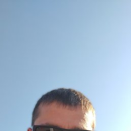 ���������, ���������, 41 ���