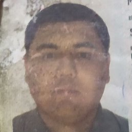 ������, �����, 40 ���