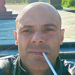 ����, �����-���������, 41 ���