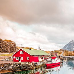 ����, �������, 41 ���