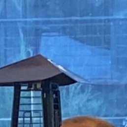 ���������, ������, 53 ����